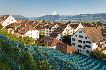 sunset over vineyard above traditional houses in Rapperswil town, canton of St Gallen, Switzerland