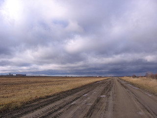 Fototapeta na wymiar dirt country road in the fields in autumn in cold rainy weather with clouds