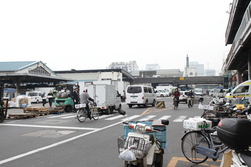 Tsukiji Fish Market in Tokyo Japan