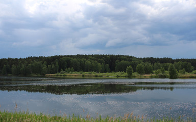 lake pond in the grass in the summer in the forest on the background of a thundercloud river