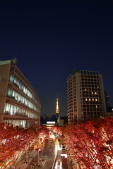 Fototapeta na wymiar Christmas Illumination in Tokyo from Roppongi Hills 
