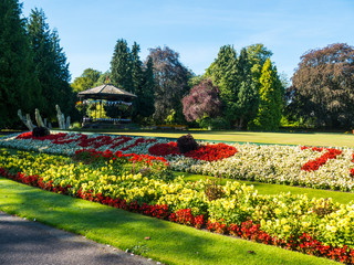 Fototapeta premium Spa Gardens is a beautiful park right in the heart of Ripon.The newest addition to Spa Gardens is a series of tree sculptures depicting characters from Lewis Carroll's Alice's Adventures in Wonderland