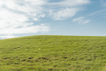 Background with view of empty golf