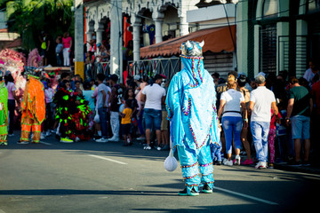 people in varied pied costumes pass by city street at dominican annual carnival - obrazy, fototapety, plakaty