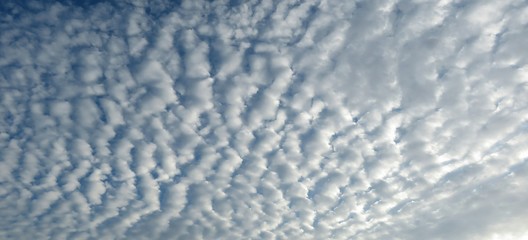 Beautiful cumulus clouds in the sky as background 