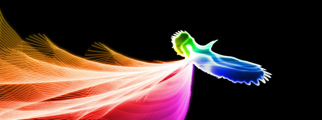 虹色に光輝く伝説の鳥がはばたく Wall Mural Wallpaper Murals K Yu