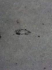 The texture of gray asphalt closeup