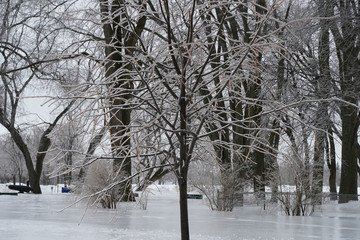 pluie verglaçante 