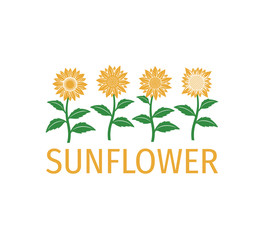 simple sunflower plant line up vector illustration design in white background