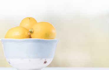 Lemons in bowl on blurred background.  Health and Summer Concept.