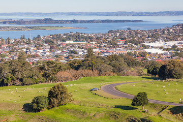 Obraz premium Suburban Auckland From Cornwall Park