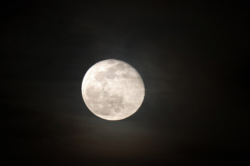Fototapeta premium full moon in the sky