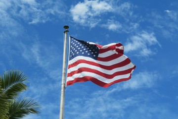 American flag on blue sky background in Florida nature