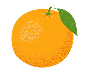 Orange fruit with a leaf. Isolated on a white background. Vector illustration.