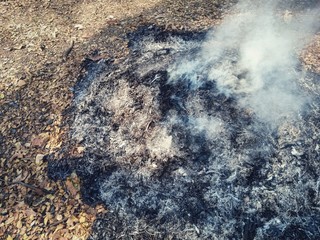 Smoke from the burning of leaf scraps Causing greenhouse conditions