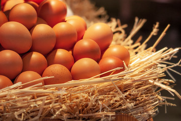 Eggs in a straw nest on a dark background