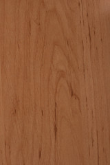 Texture of wood background closeup
