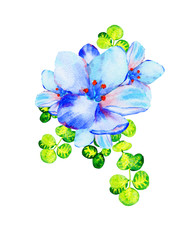 Fototapeta na wymiar Beautiful romantic bouquet of blue watercolor flowers and and round green leaves, isolated on white.