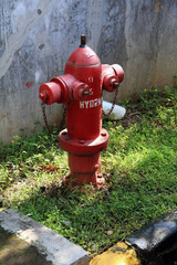 Fototapeta na wymiar fire hydrant in park