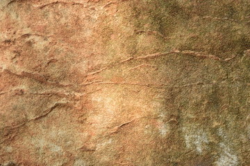 Natural stone background moss stains moss