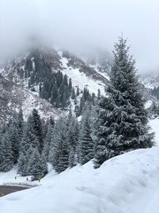 Obraz premium winter landscape with trees and snow