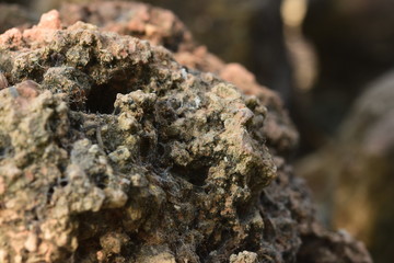 Natural stone background moss stains moss