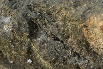 Natural stone background moss stains moss