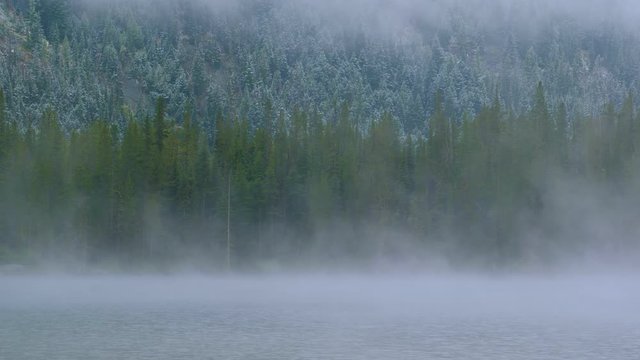 Steam Fog Coming Out On The Lake With A Backdrop Of Green Forest In North America. -wide shot