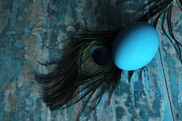a blue Easter egg on a blue background lying near a beautiful feather