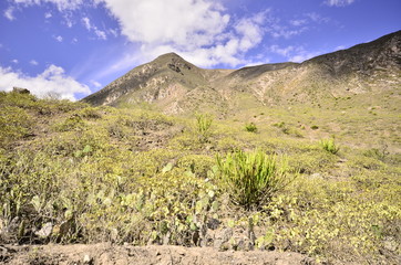 Jubones es un desierto hermoso entre Azuay y Loja, Ecuador