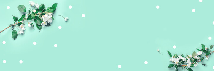Creative layout with blooming apple tree on a blue background. Flat lay. Concept - spring minimalism