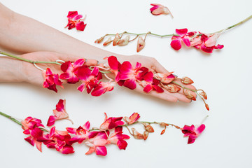 Red orchid flowers in female hands on white background.