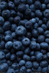 Blueberry berry. Berry blue background.Healthy bio natural dessert and snack.Vegetarian and vegan food.Fresh ripe blueberries season.
