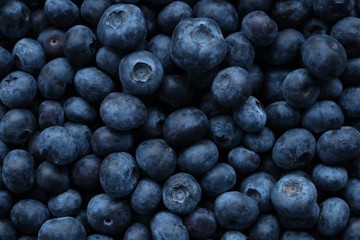 Blueberry berry. Berry blue background. bio natural dessert and snack.Vegetarian and vegan food.Fresh ripe blueberries season.