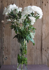 Bouquet of white chrysanthemums in a high glass vase on a wooden ancient background.Space for text.