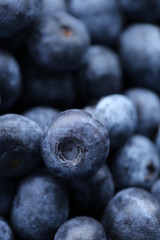 Blueberry berry. Berry blue background.Macro shot of fresh blueberry.Healthy  natural dessert and snack.Vegetarian and vegan food.Fresh ripe blueberries season.