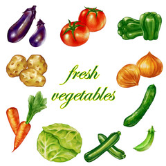 水彩風の複数の新鮮な野菜　盛り沢山　セット