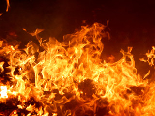 Fototapeta premium fire_0547