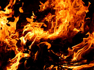 Fototapeta premium fire_0594