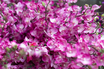 Pink little artificial flowers on a branch, background backdrop decoration design close-up. A lush bouquet of fake flowers