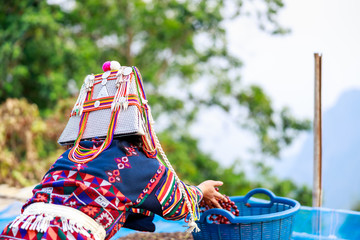 hill tribe girl picking up dried coffee beans in basket