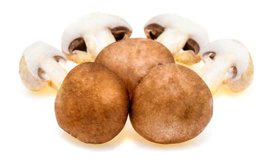 Set of fresh whole and sliced champignon mushrooms isolated on white background. Top view