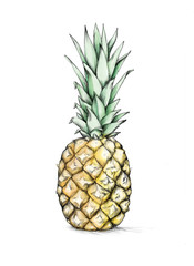 Ananas in Farbe