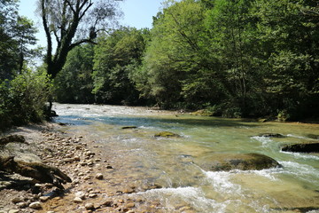 The image of a mountain river. On the river forest.