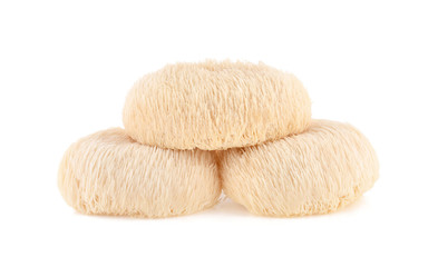 Lion mane mushroom isolated on white background.