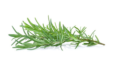 Rosemary isolated on white background
