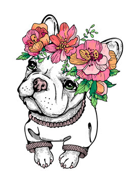Cute girl french bulldog in a flower wreath. Stylish image for printing on different surfaces