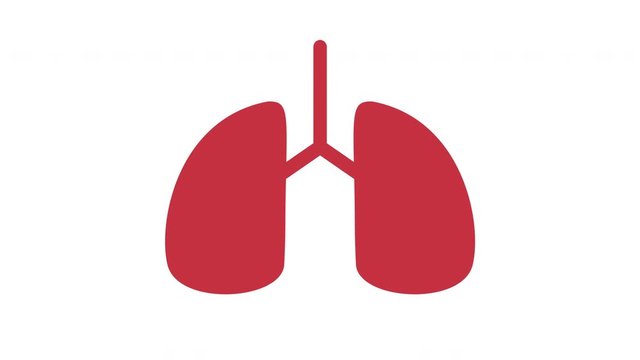 Lungs symbol icon appearing and breathing and expanding animation red