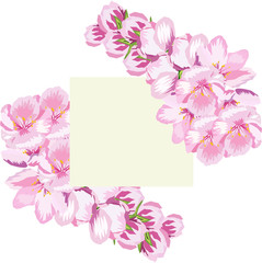 greeting card with branches of cherry blossoms greeting vector illustration