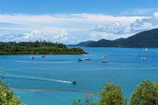 Shute Harbour Airlie Beach North Queensland Australia